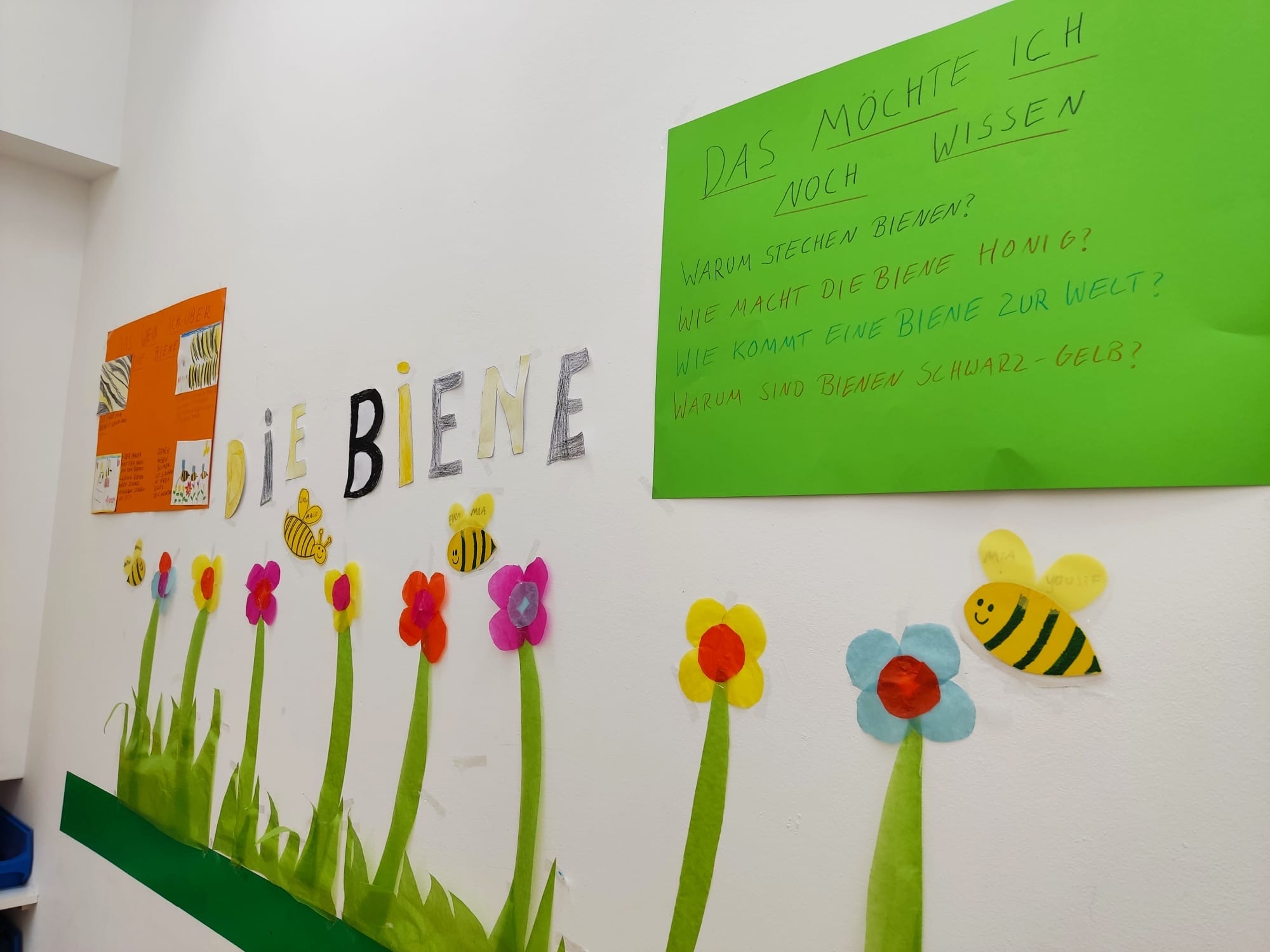  Kleine Imker: Bienen Projekt fördert Umweltbewusstsein in der Kita 